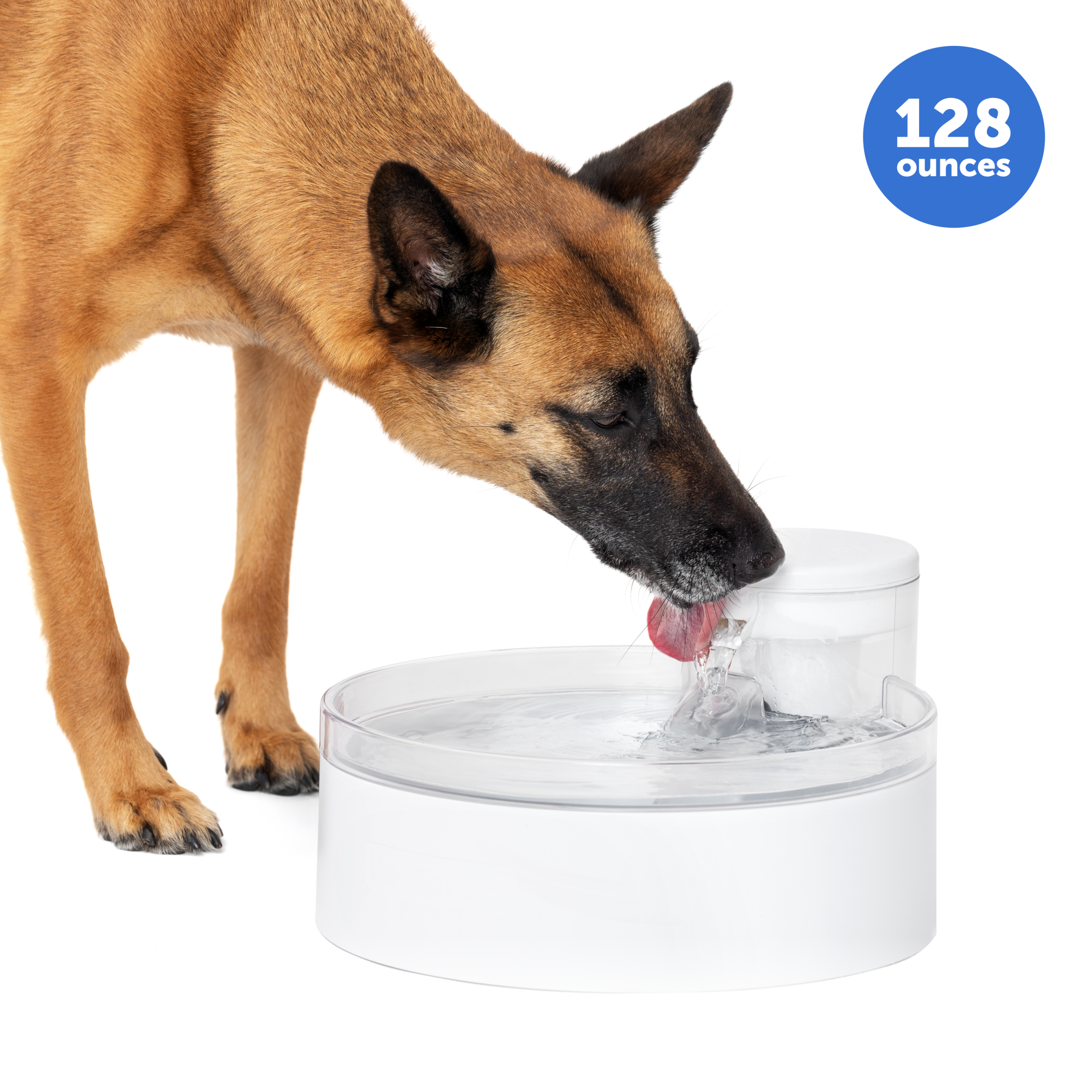 An application scenario or product detail of water fountain with dog - Image 16