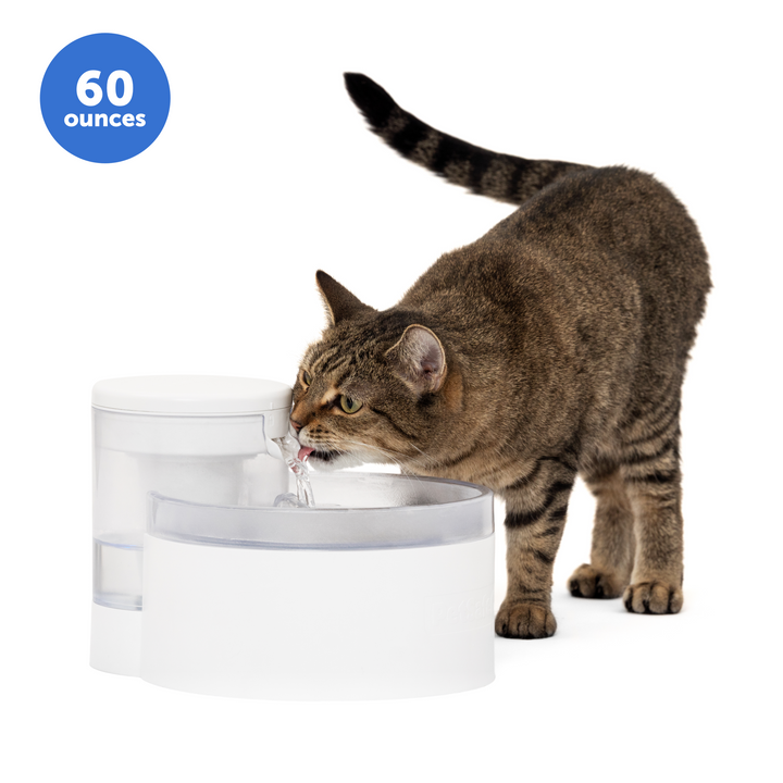 An application scenario or product detail of water fountains for cats - Image 16