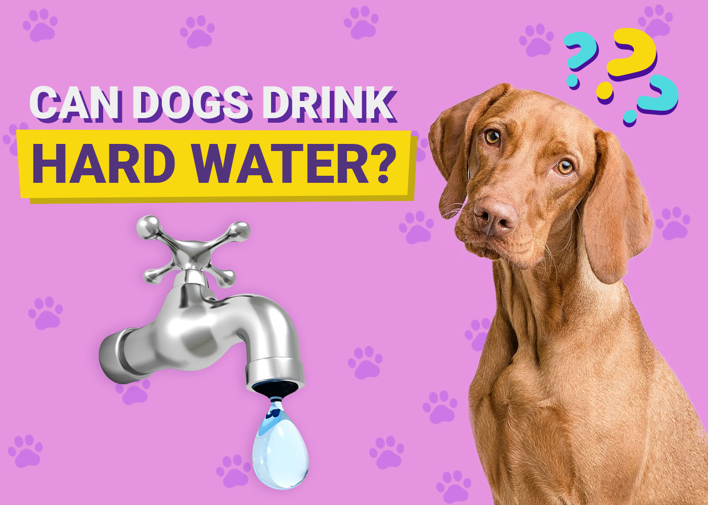 An application scenario or product detail of water hardness for dogs - Image 8