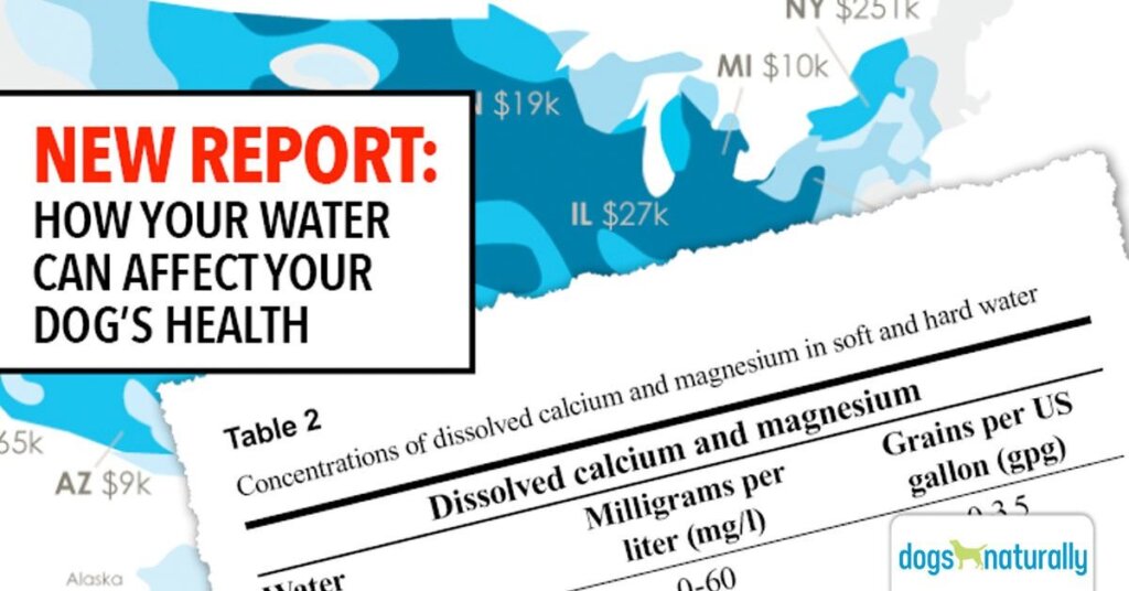 Featured image for the water hardness for dogs guide