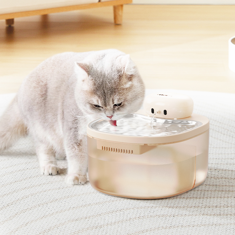 An application scenario or product detail of water pet - Image 4