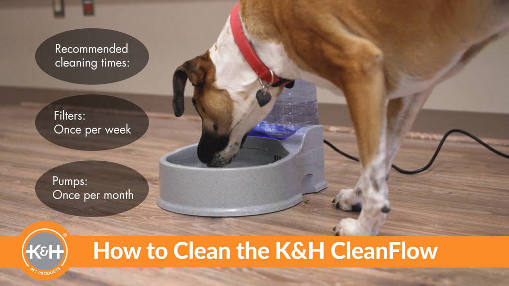 An application scenario or product detail of water purifier for dogs - Image 15