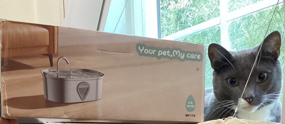 An application scenario or product detail of waterer for cats - Image 8