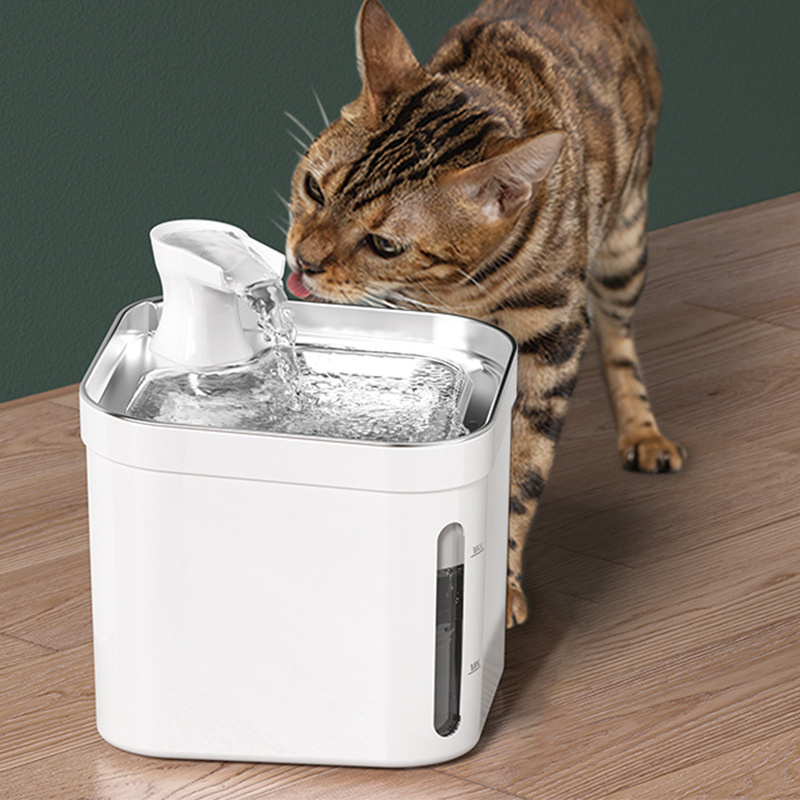 An application scenario or product detail of waterer for cats - Image 15