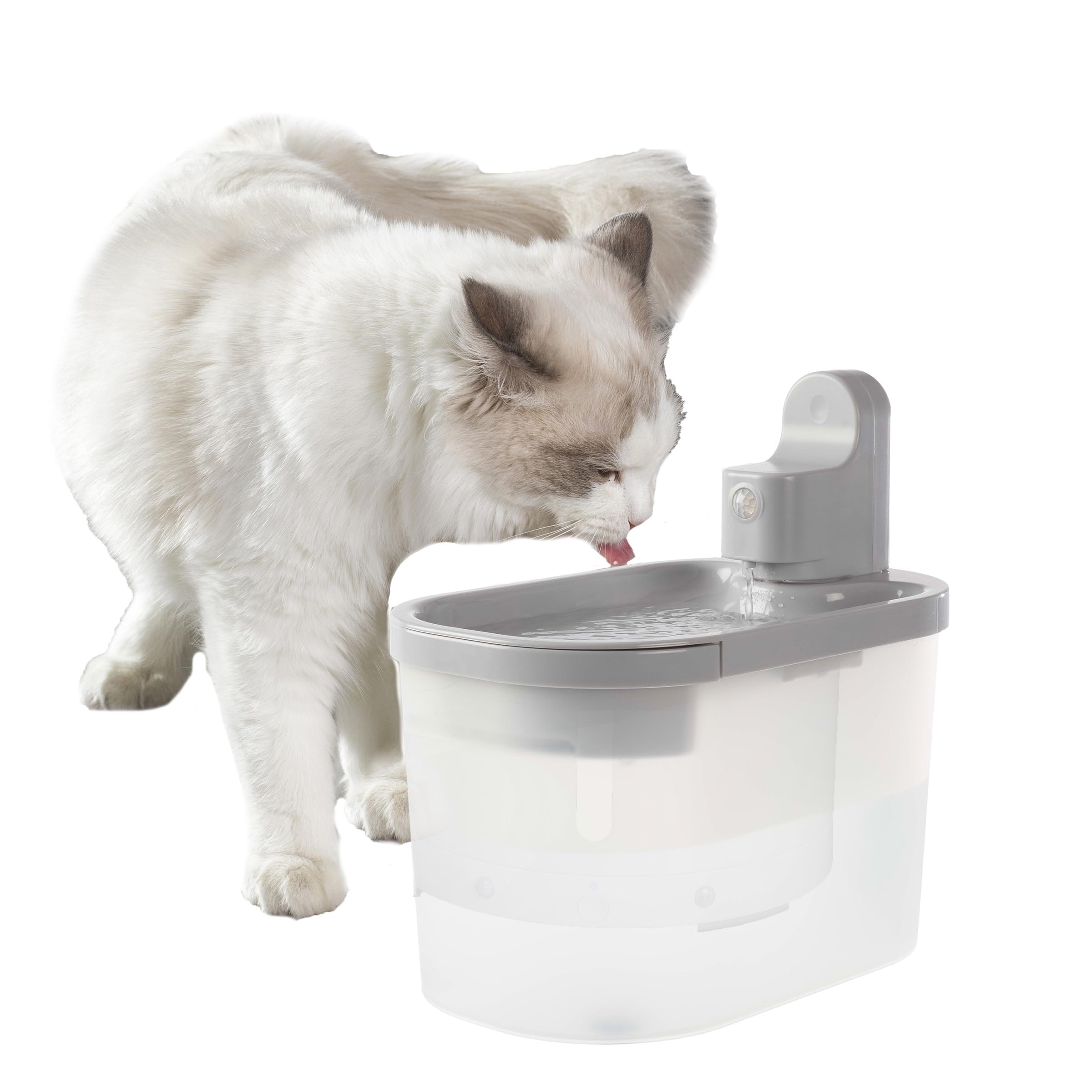 An application scenario or product detail of waterer for cats - Image 19