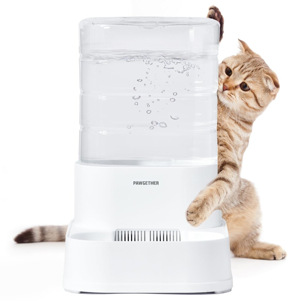 Featured image for the waterer for cats guide