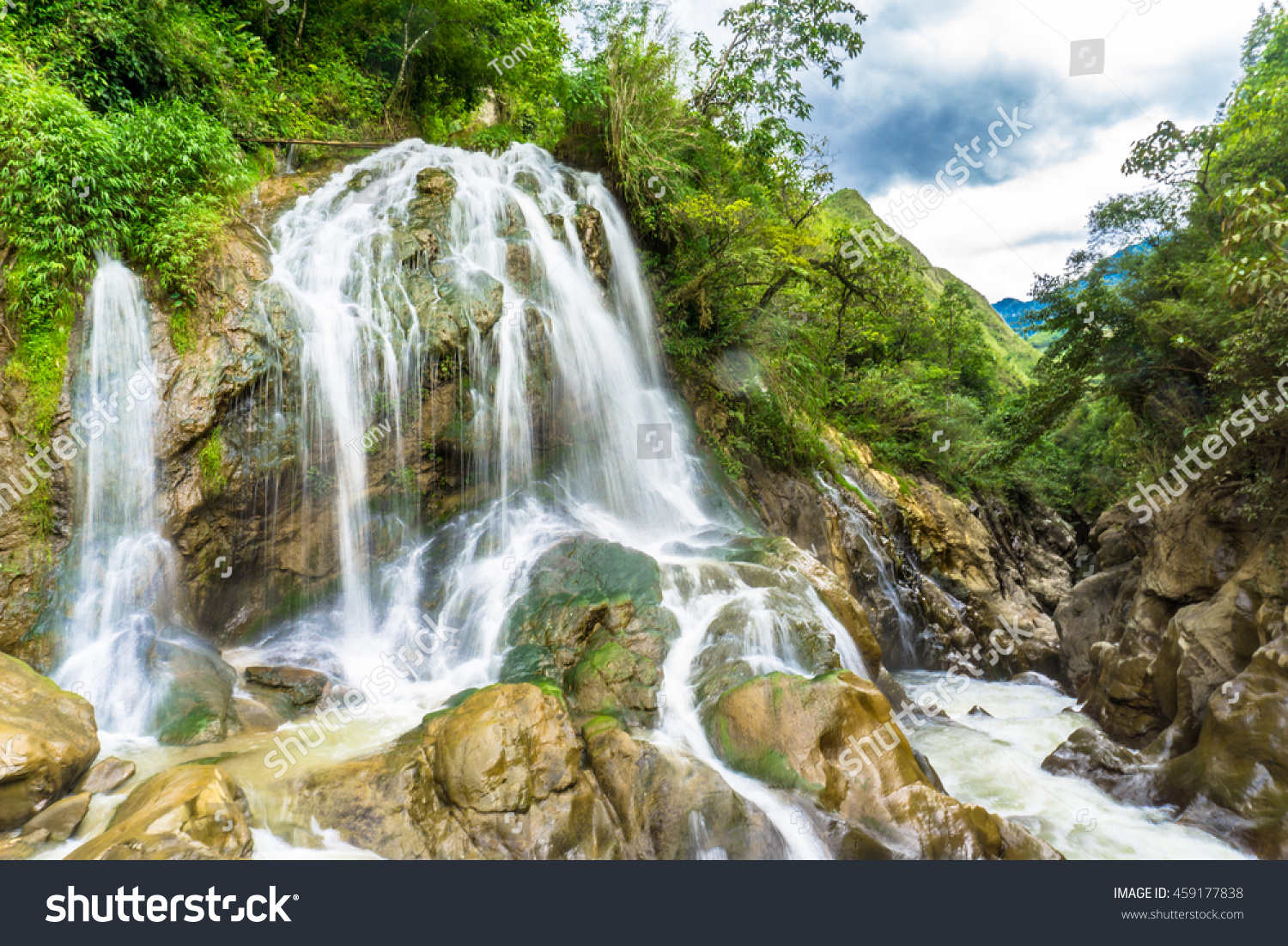 An application scenario or product detail of waterfall cat - Image 5