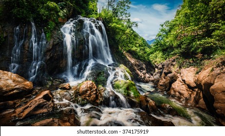 An application scenario or product detail of waterfall cat - Image 17