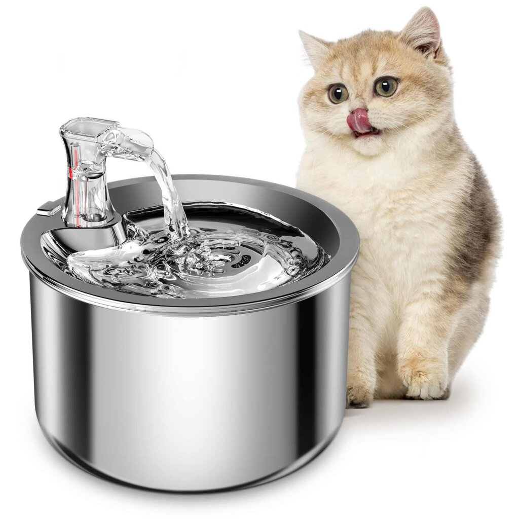 Featured image for the waterfall cat bowl guide