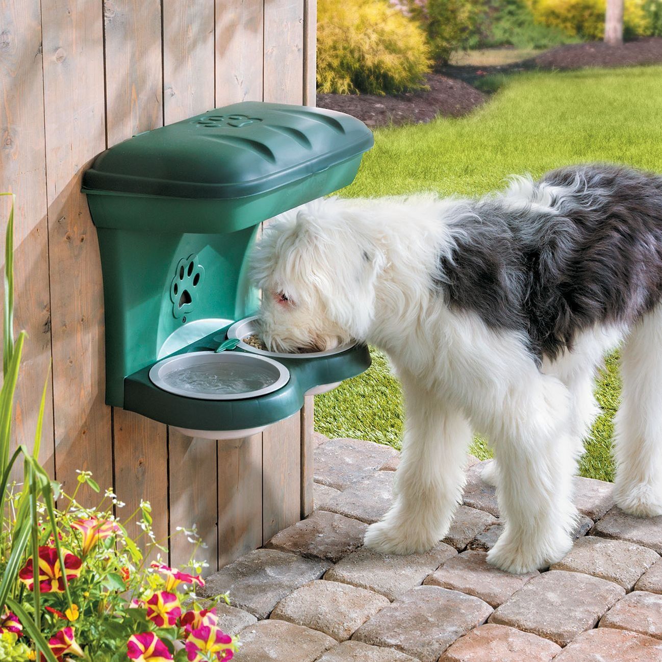 An application scenario or product detail of waterproof outdoor dog feeder - Image 17