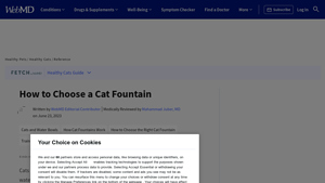 WebMD - Cat Fountains Guide