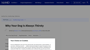 WebMD - Dog Hydration Guidelines