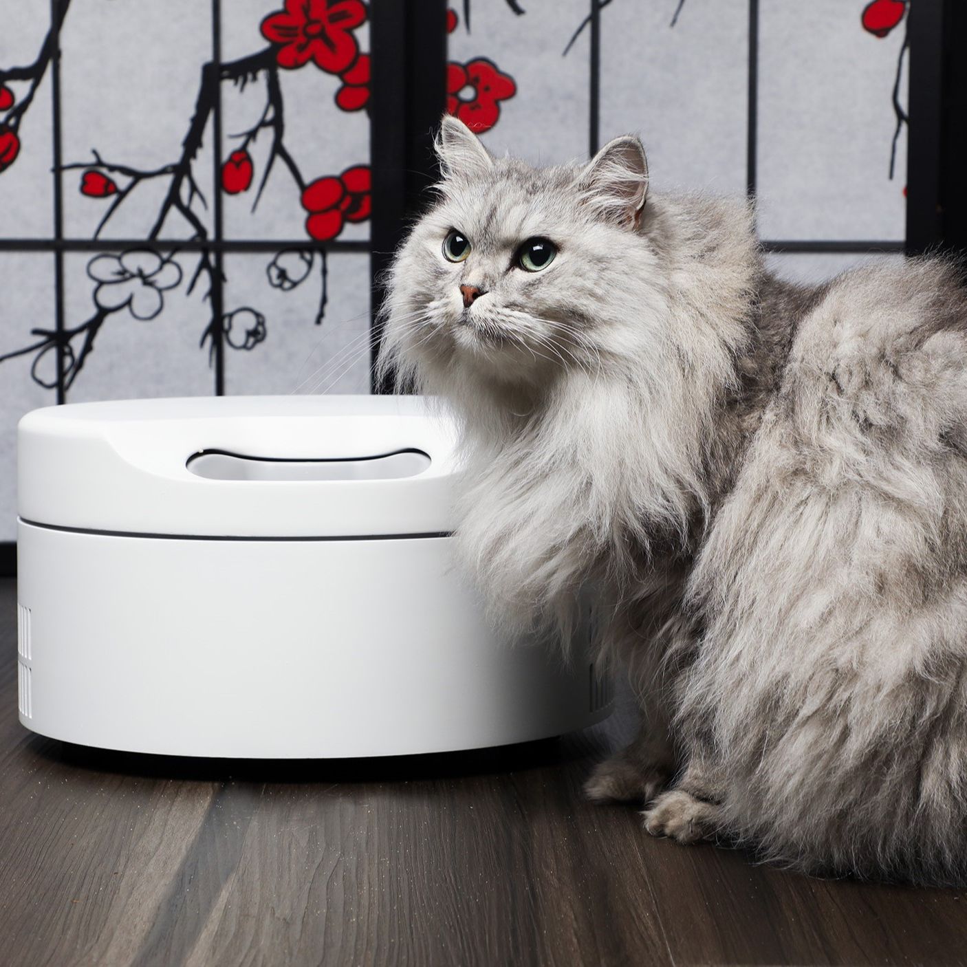 An application scenario or product detail of wet cat food dispenser - Image 2