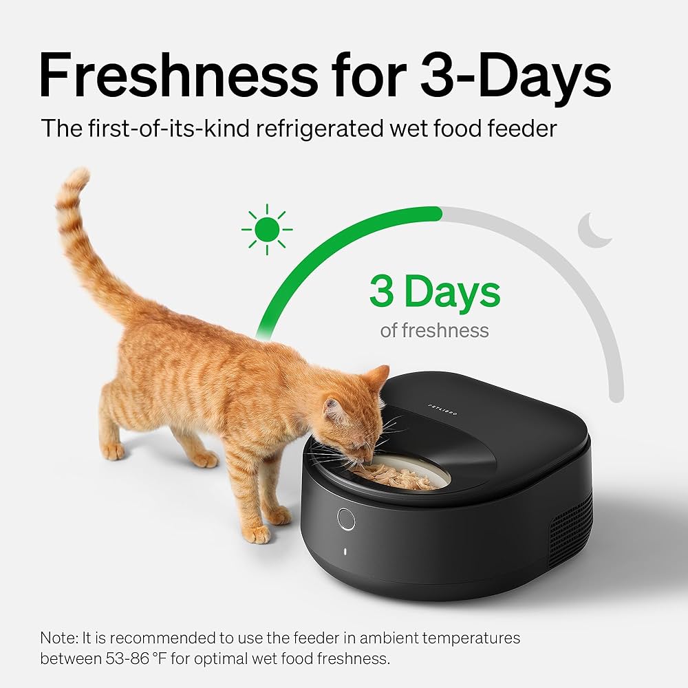 An application scenario or product detail of wet cat food dispenser - Image 9
