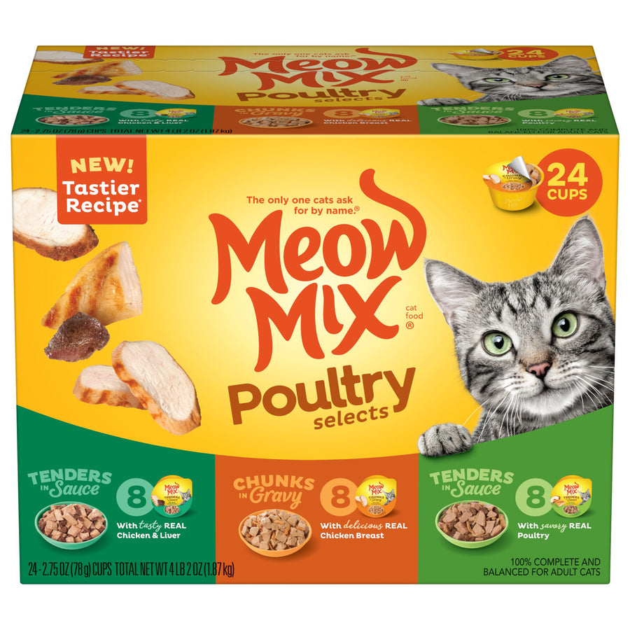 Featured image for the wet cat food packets guide