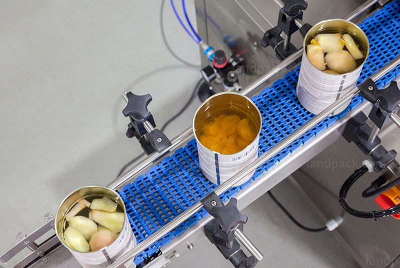 An application scenario or product detail of wet dog food dispenser - Image 14