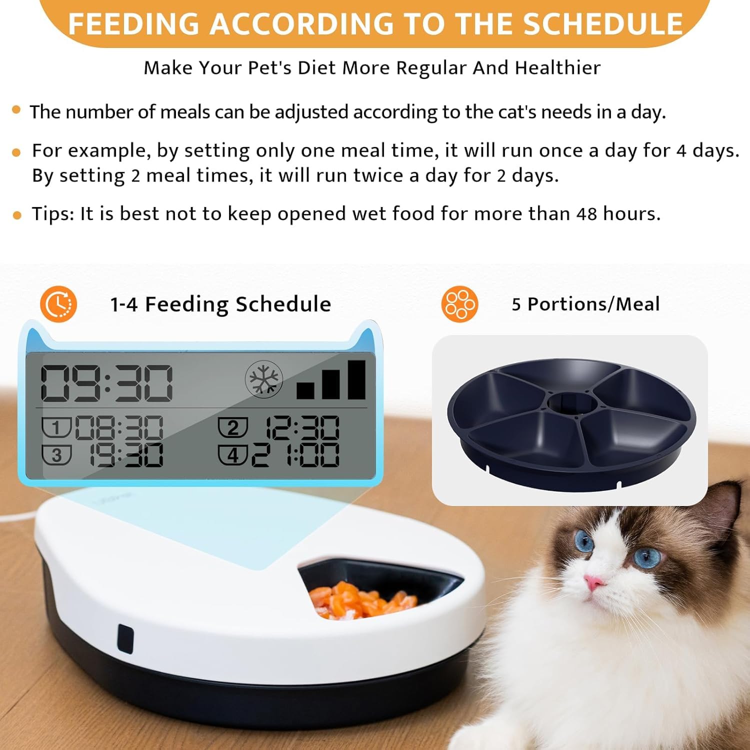 An application scenario or product detail of wet food automatic feeder - Image 6