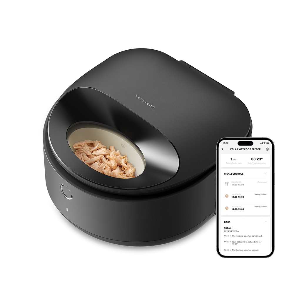 Featured image for the wet pet food feeder guide