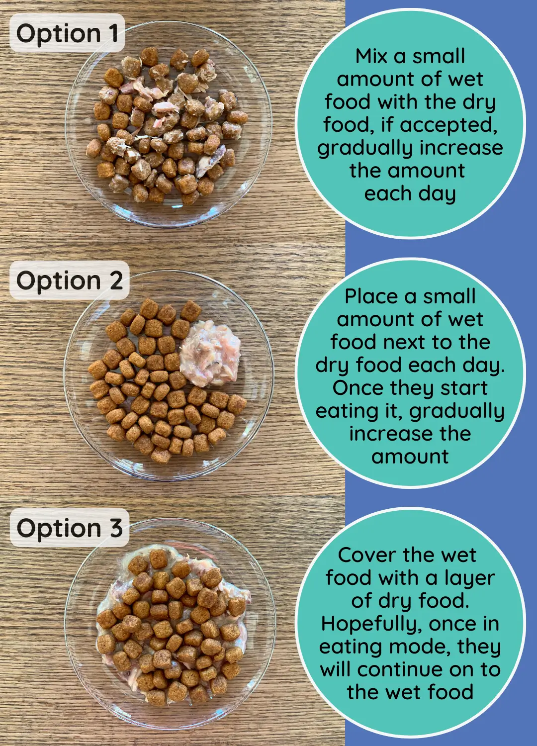 An application scenario or product detail of when can i feed kittens wet food - Image 5