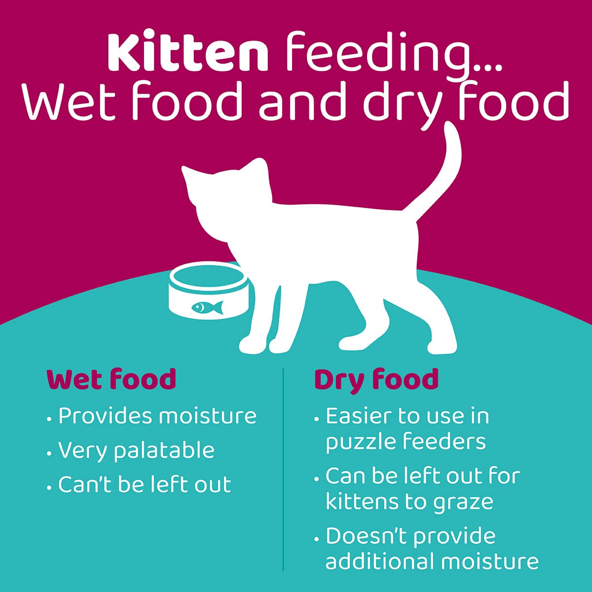 An application scenario or product detail of when can i feed kittens wet food - Image 12