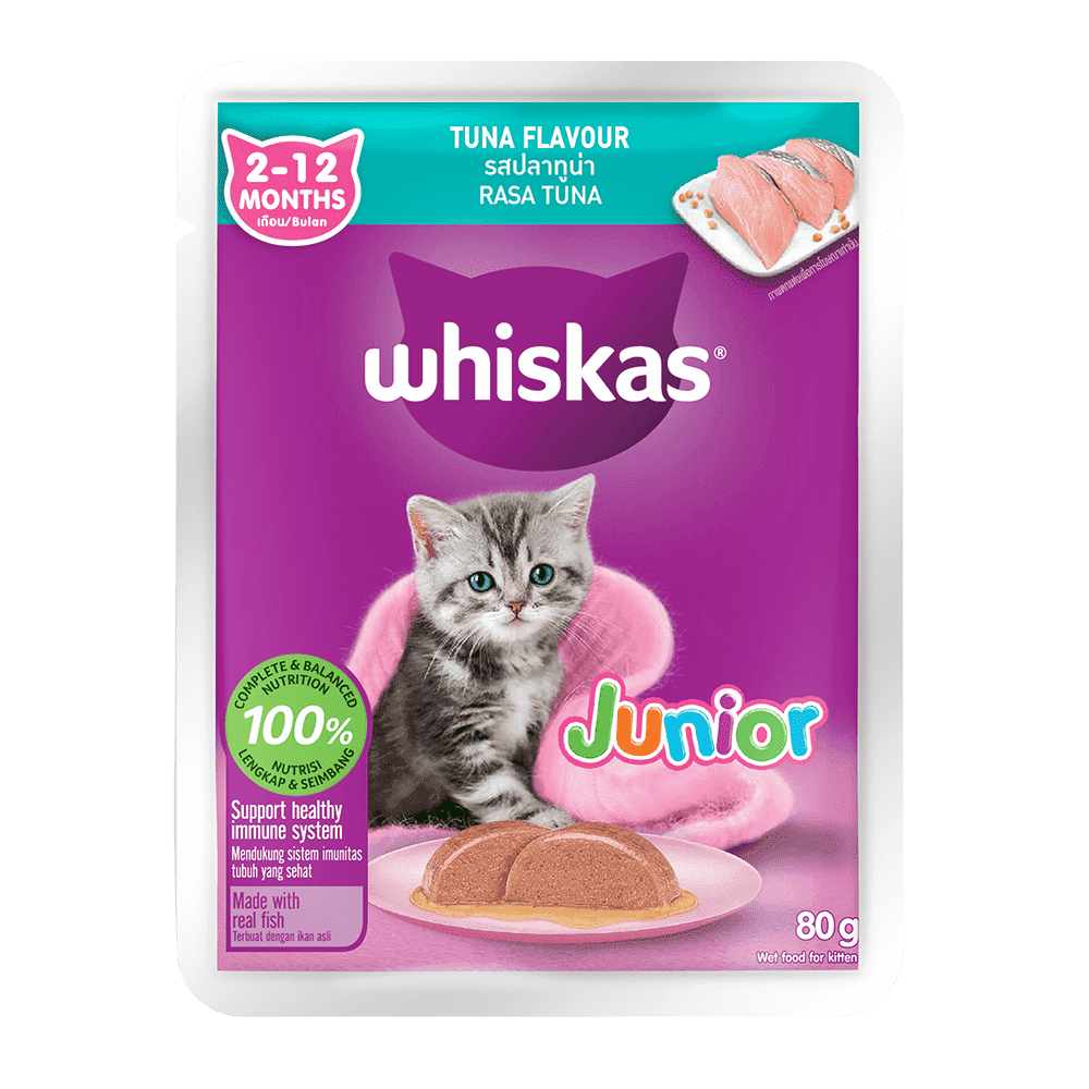 An application scenario or product detail of when can i give kittens wet food - Image 18