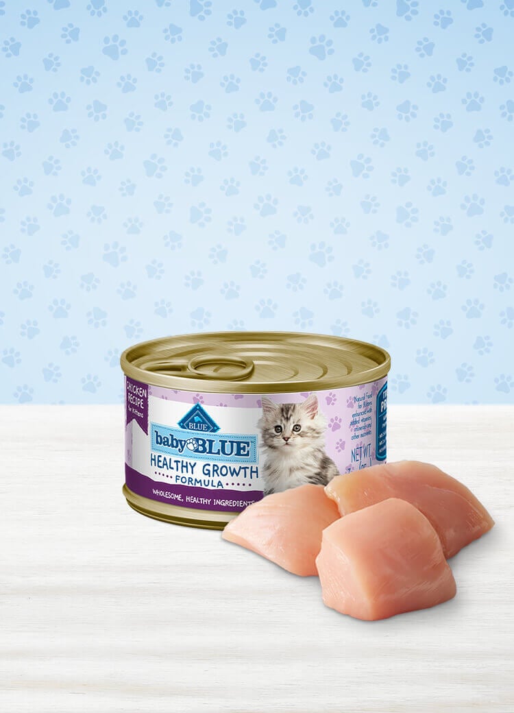 An application scenario or product detail of when can kittens have wet food - Image 7