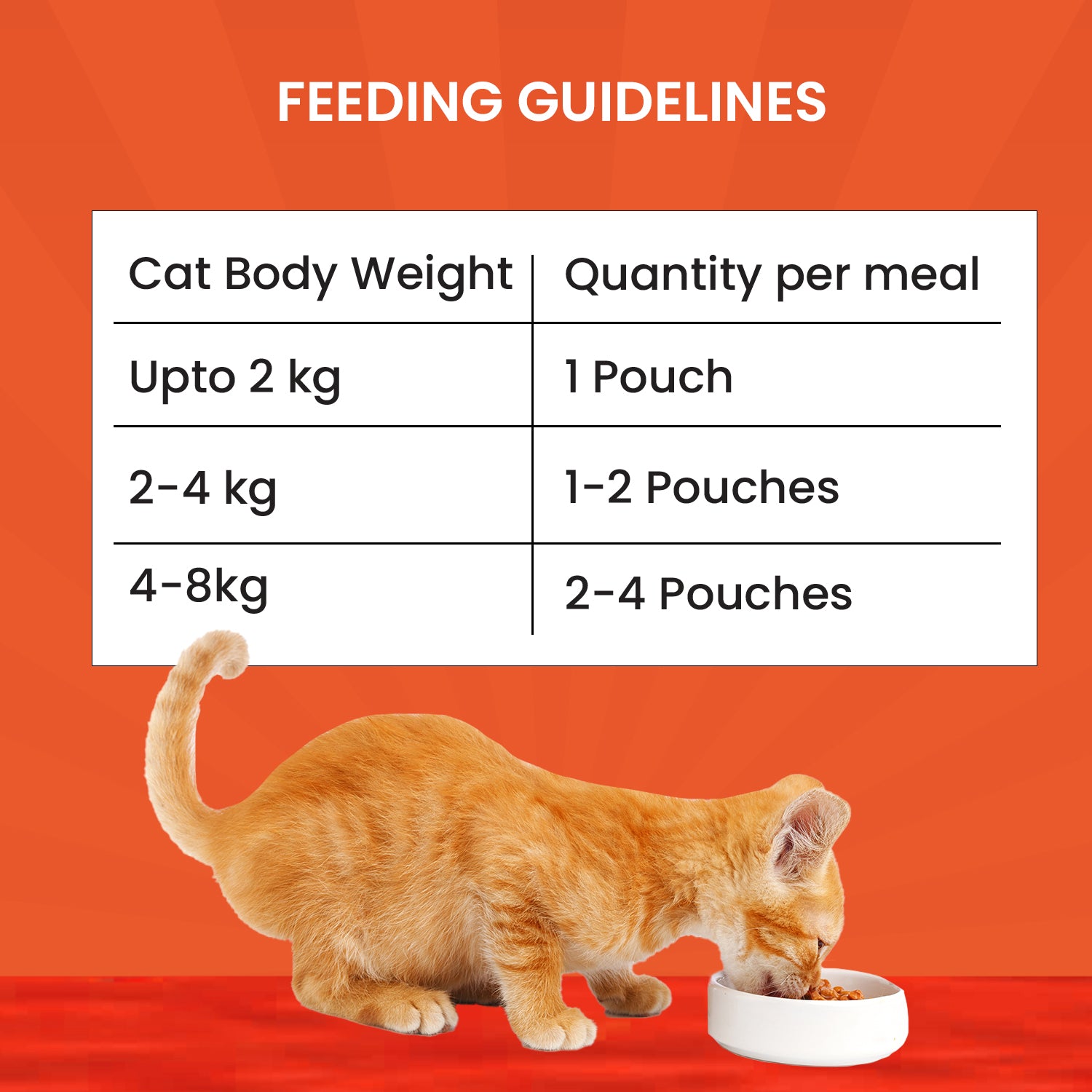 An application scenario or product detail of when can kittens have wet food - Image 8