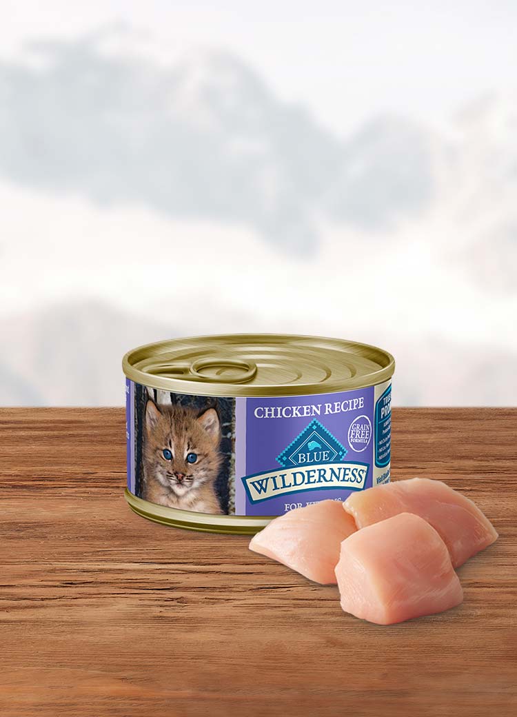 An application scenario or product detail of when can kittens have wet food - Image 13