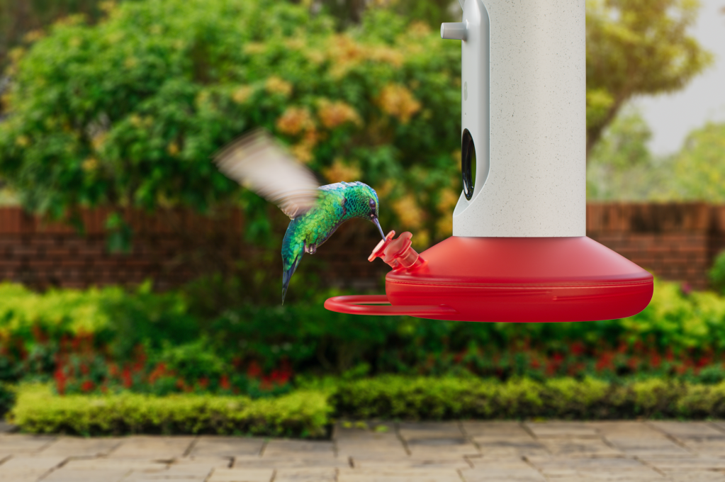 An application scenario or product detail of when to change hummingbird feeder - Image 20