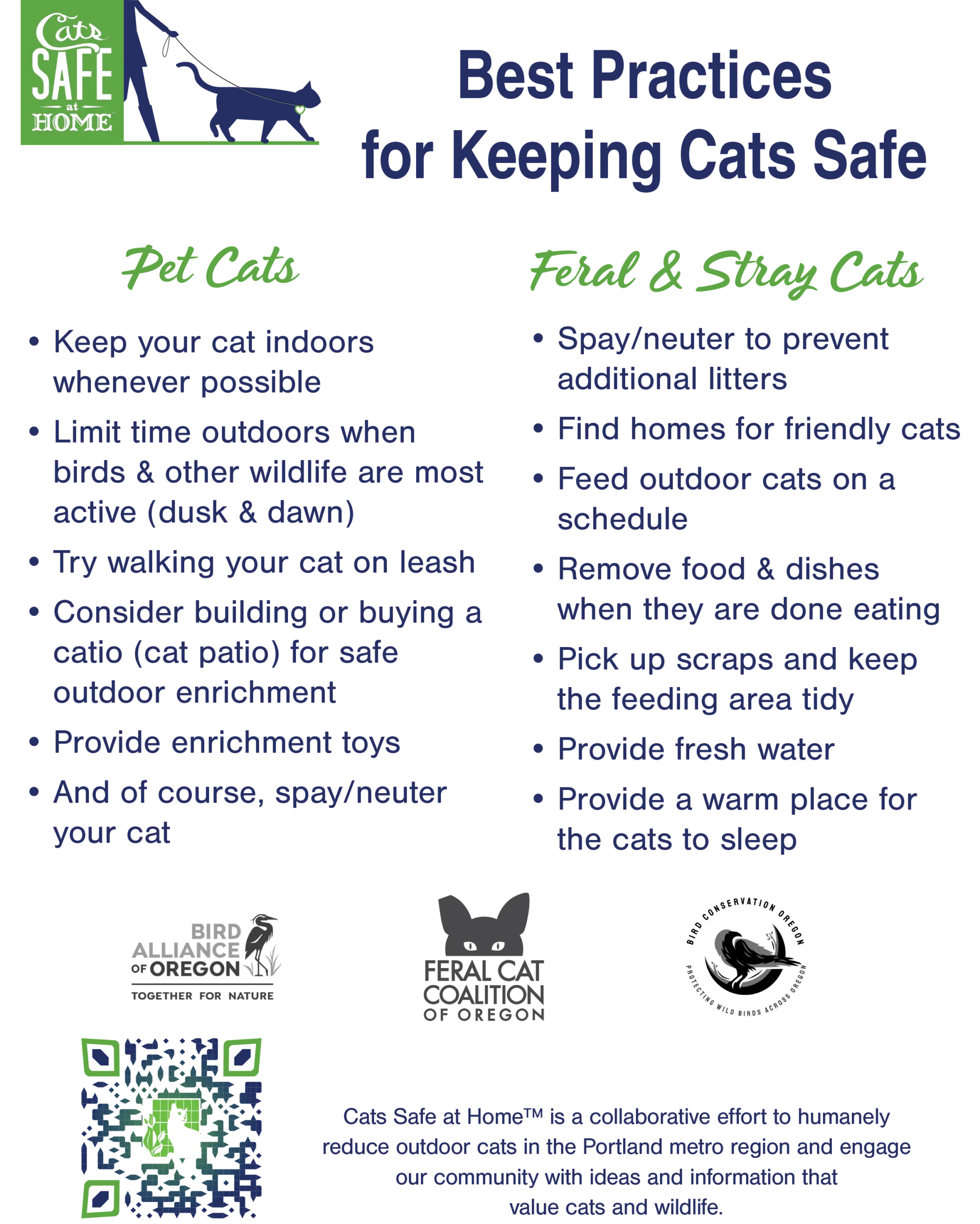 An application scenario or product detail of when to feed cats - Image 7