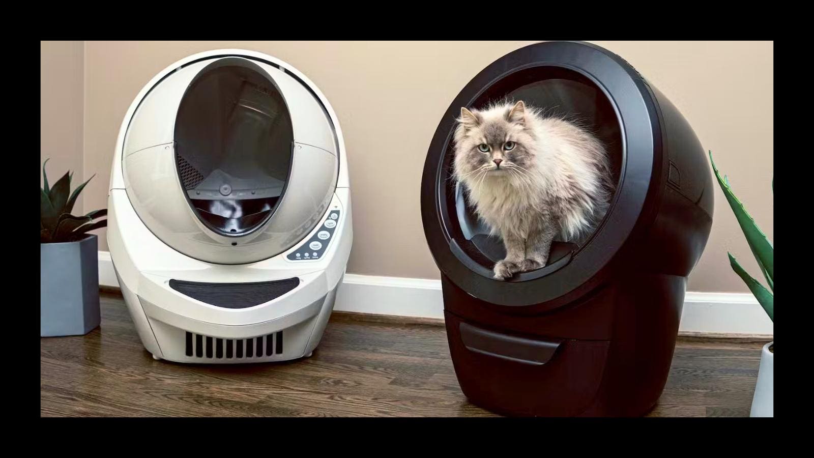 An application scenario or product detail of where is litter robot made - Image 3