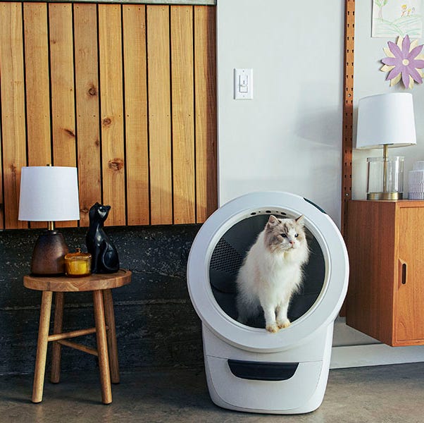 An application scenario or product detail of where is litter robot made - Image 16