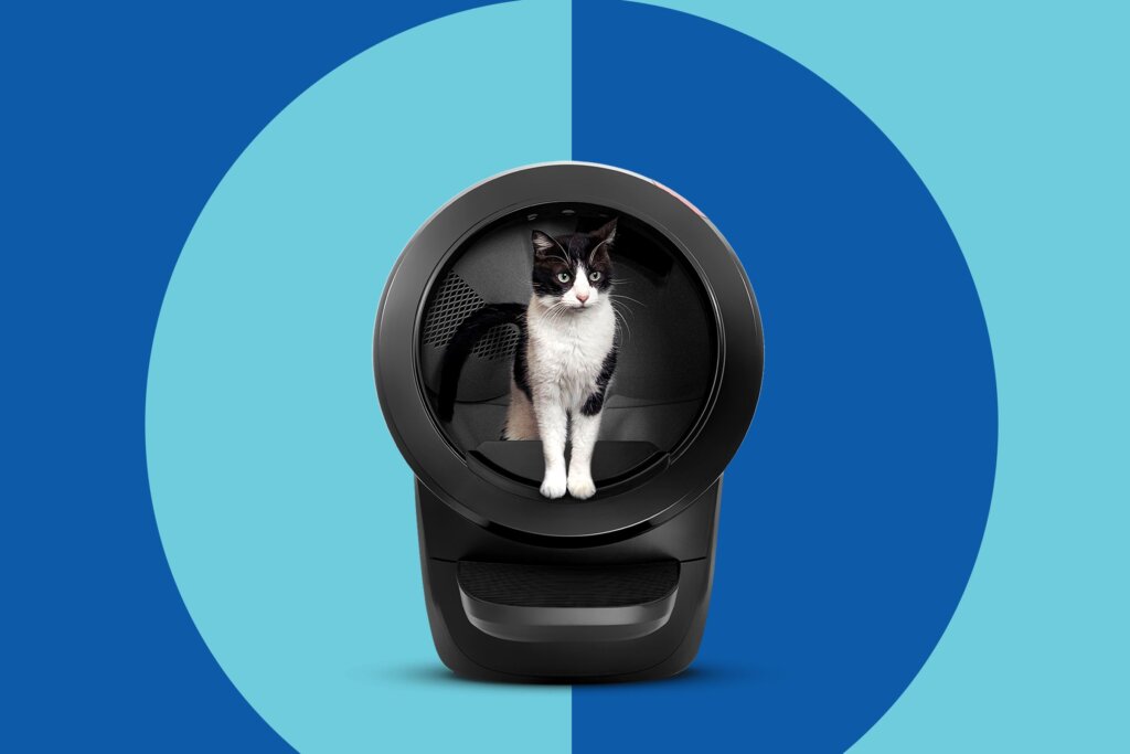 Featured image for the where is litter robot made guide