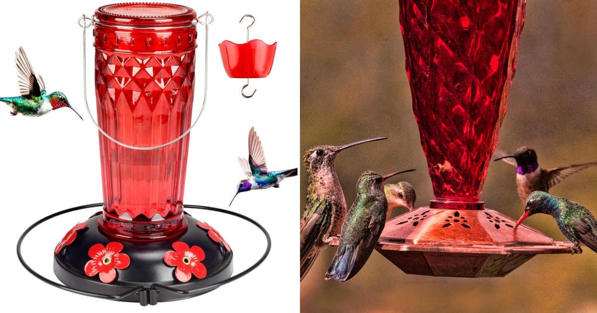 An application scenario or product detail of where should i put my hummingbird feeder - Image 23