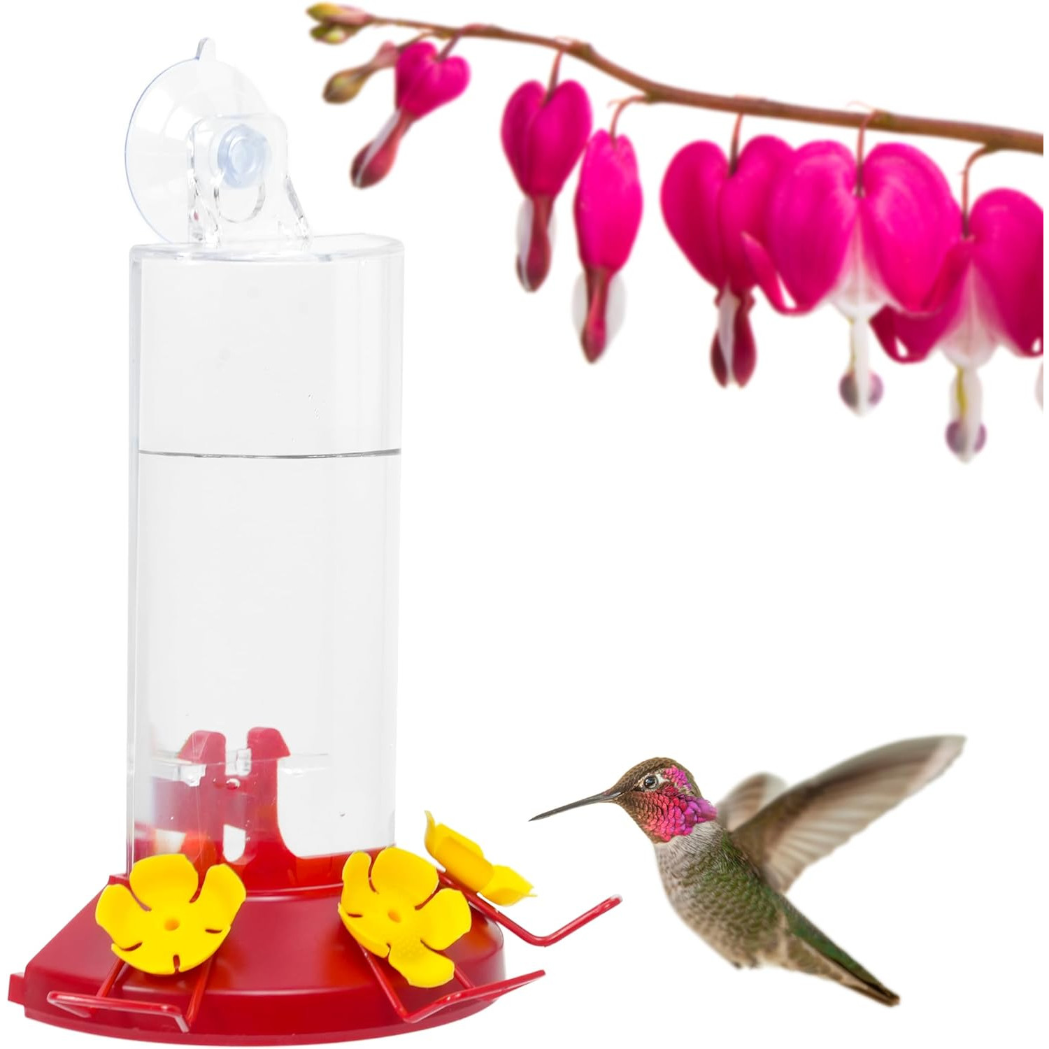 An application scenario or product detail of where's the best place to put a hummingbird feeder - Image 23