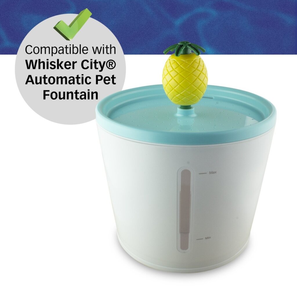 Featured image for the whisker city water fountain filter guide