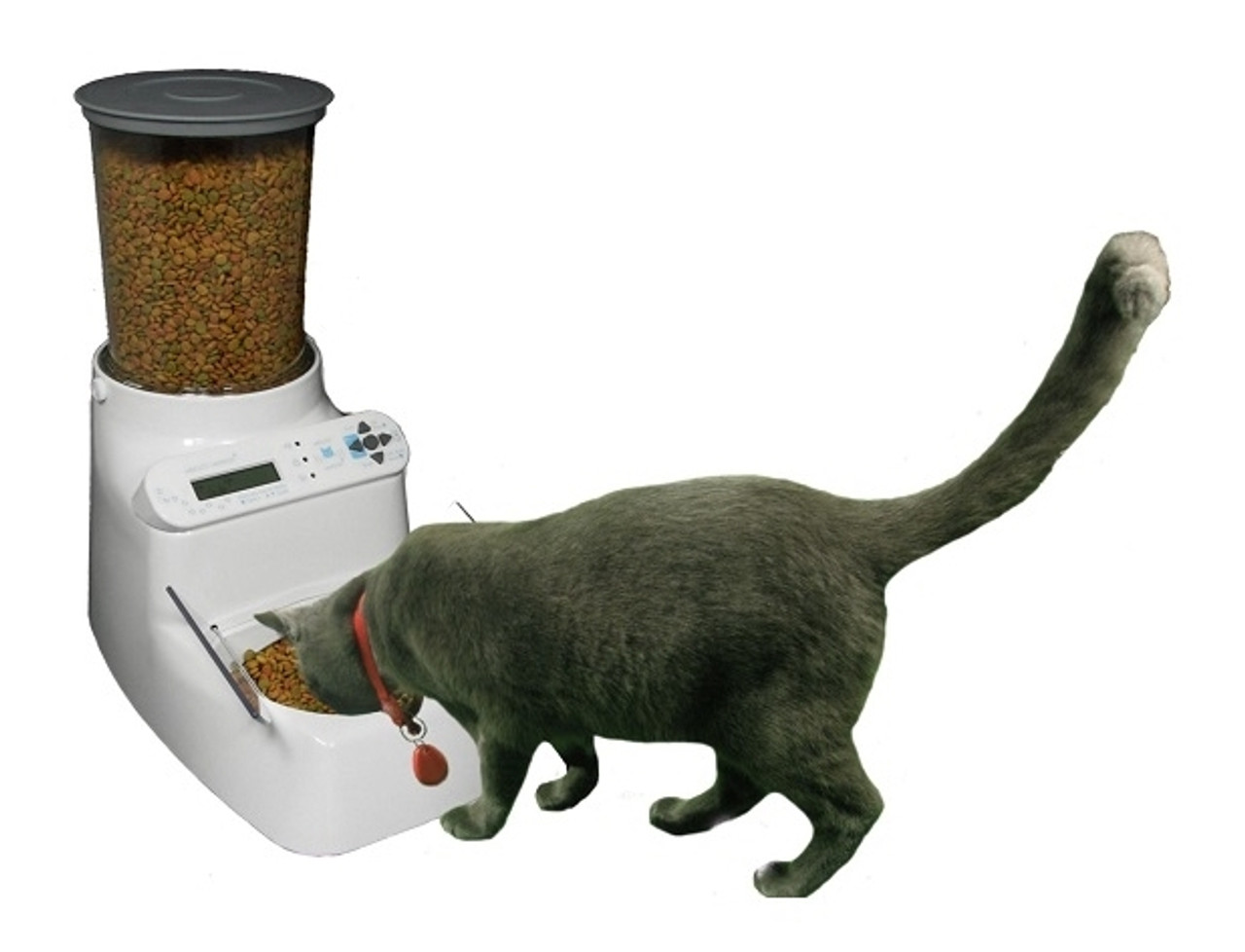 An application scenario or product detail of whiskers cat feeder - Image 2