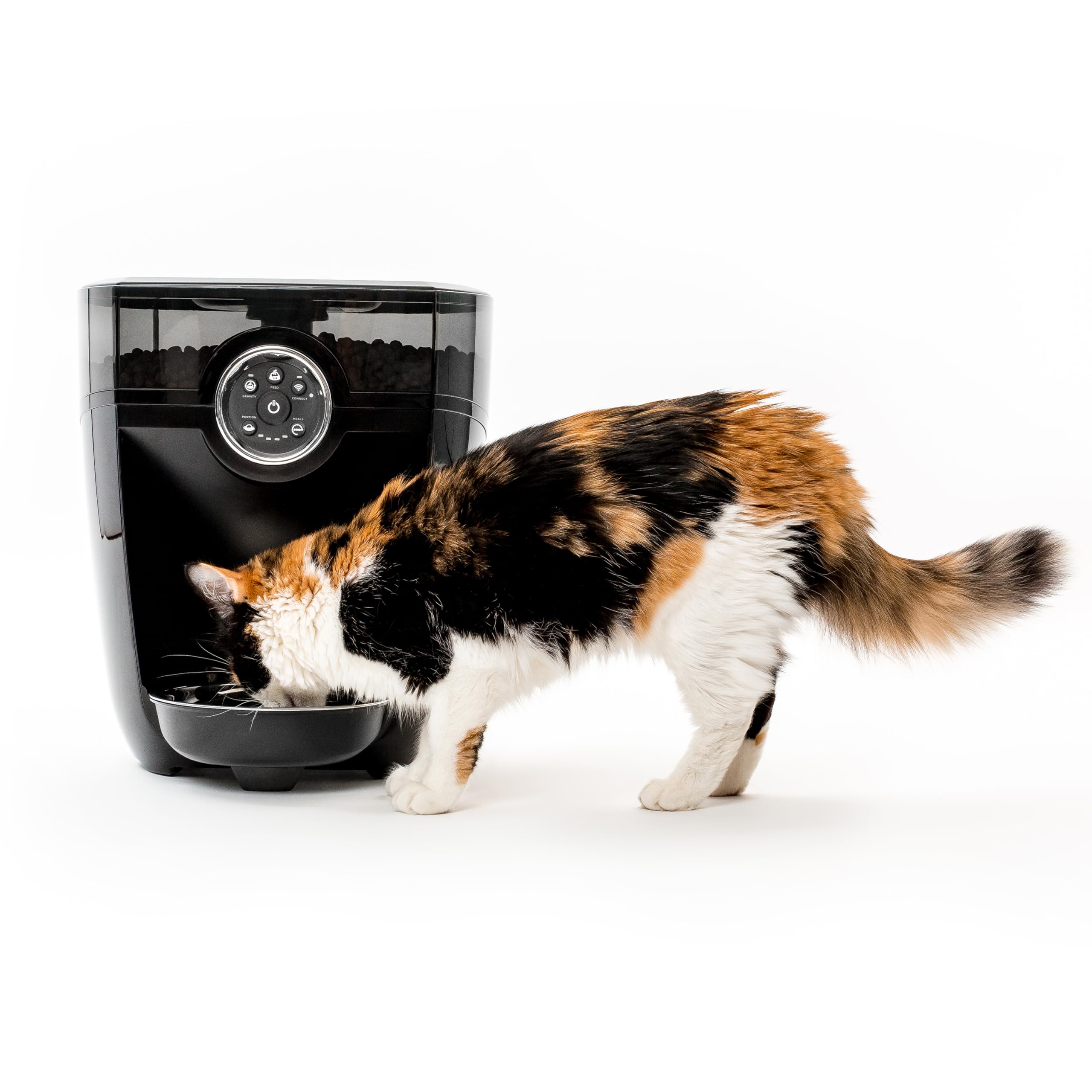 An application scenario or product detail of whiskers cat feeder - Image 5