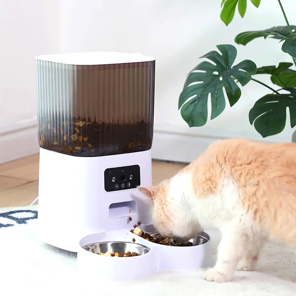 An application scenario or product detail of whiskers cat feeder - Image 7