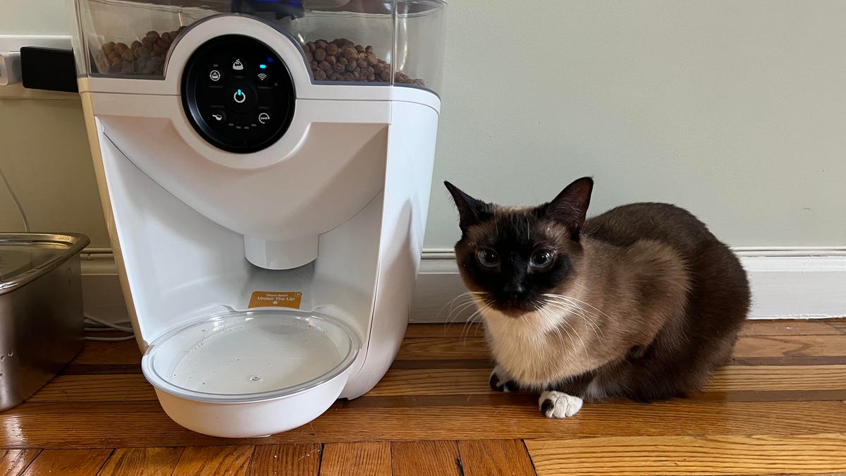 An application scenario or product detail of whiskers cat feeder - Image 10