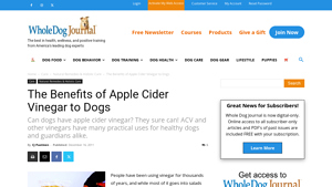 Whole Dog Journal - Apple Cider Vinegar for Dogs