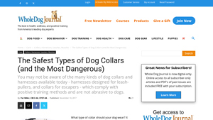 Whole Dog Journal - Dog Collar Safety Guide