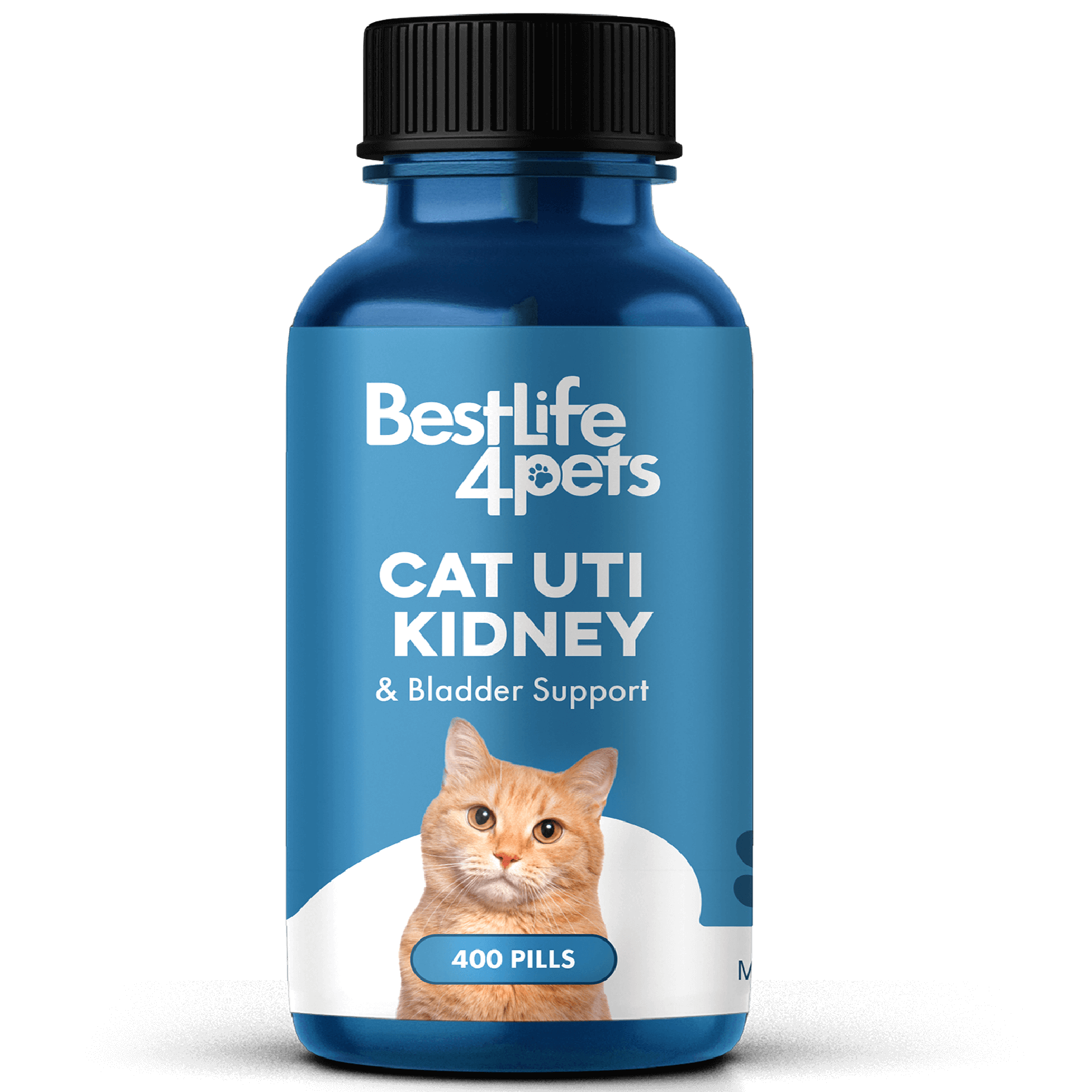 An application scenario or product detail of why does my cat keep getting urinary tract infections - Image 13