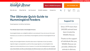 Wildlife Rescue - Hummingbird Feeders