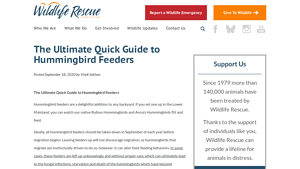Wildlife Rescue - Hummingbird Feeders