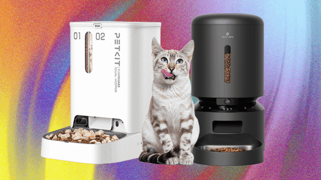 Featured image for the wireless automatic cat feeder guide