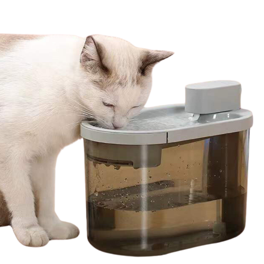An application scenario or product detail of wireless cat fountains - Image 17