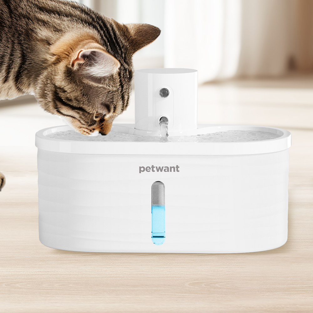 An application scenario or product detail of wireless cat fountains - Image 23