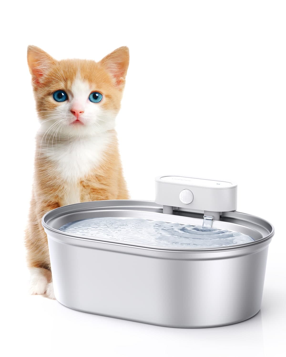An application scenario or product detail of wireless cat water fountain stainless steel - Image 17