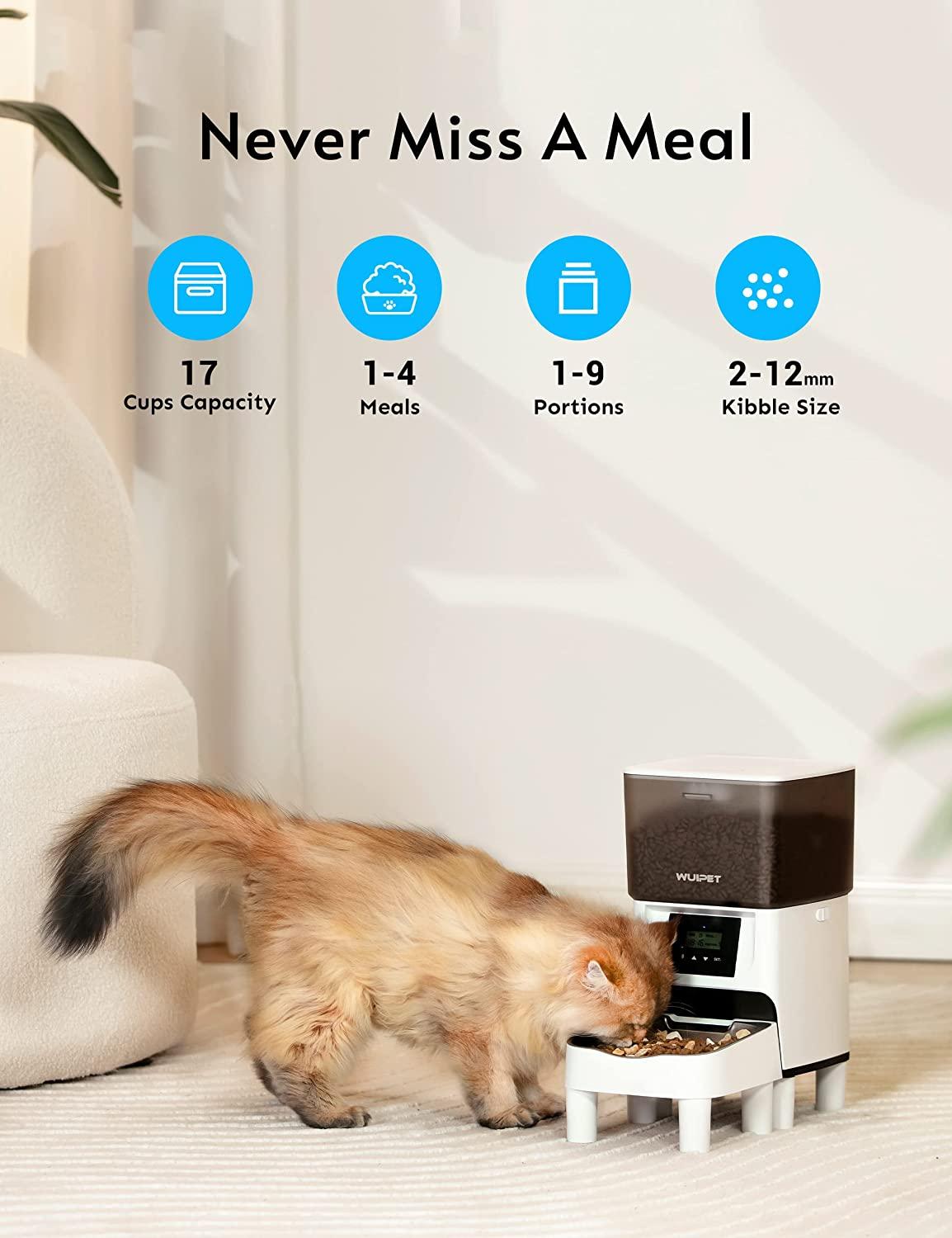 An application scenario or product detail of wuipet automatic cat feeder - Image 6